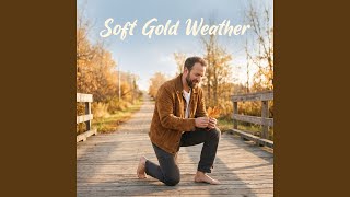 Soft Gold Weather screenshot 4
