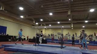 Tyler Rockwood - Parallel Bars - 2019 Winter Cup Junior Prelims