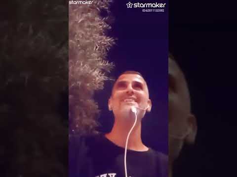 بلبل الطرب