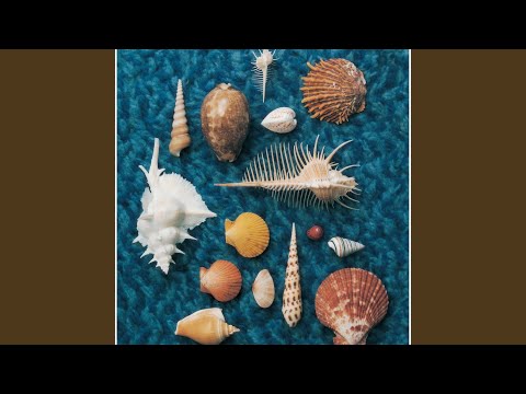 Spitz - 空も飛べるはず - Soramo Toberuhazu