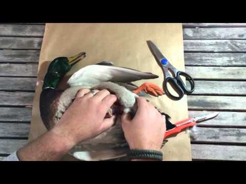 Video: How To Stuff Duck