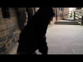 Set Your Goals - A3 TourVid #5