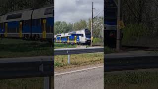 Stork on Train Tracks, Barely Avoids Oncoming Train