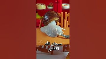 #القرآن_الكريم #الشيخ #القارئ_ريان_المحيسني #سورة_النمل #أجمل_تلاوة #تلاوة_مميزة #اكسبلور #المصحف