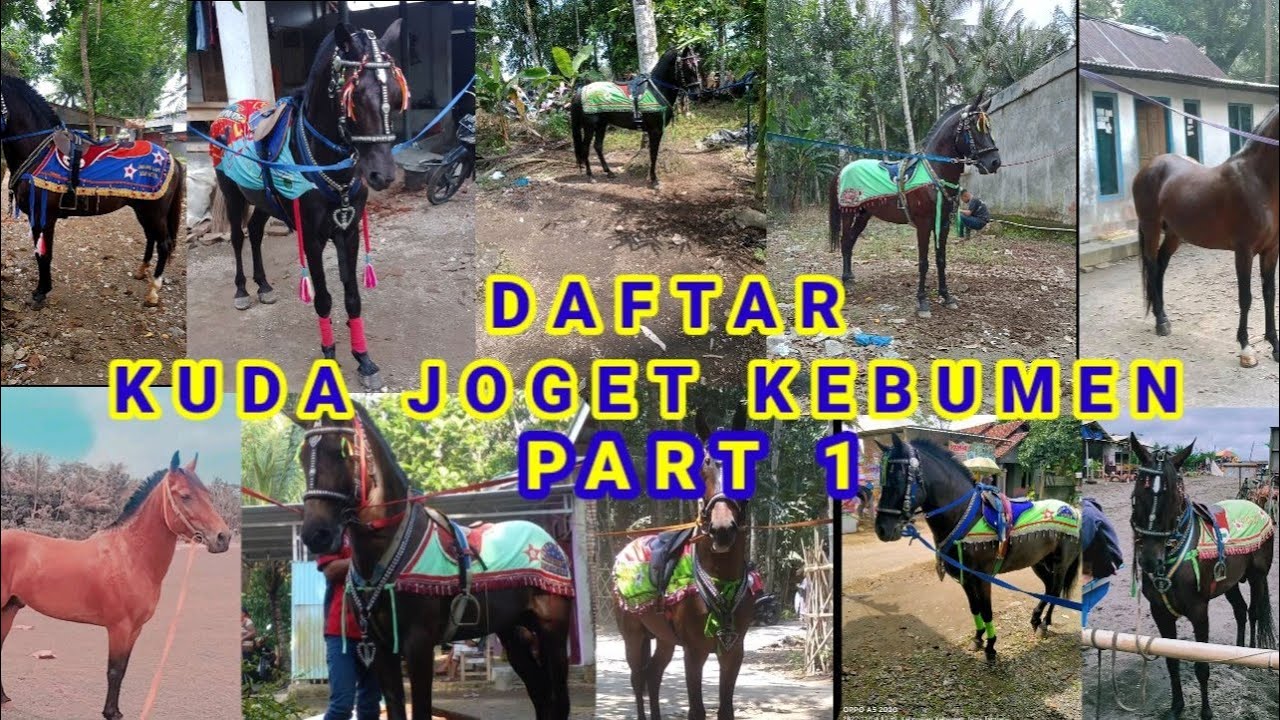 DAFTAR KUDA JOGET KEBUMEN        FOTO & VIDEO PART 1.