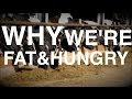 Why we get Fat AND Hungry | (Biology of Weight Gain & Low-Carb )