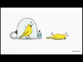 Unit 5 Science and Curiosity