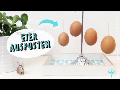 Video: Wie Gehe Ich Mit Eiern Um?
