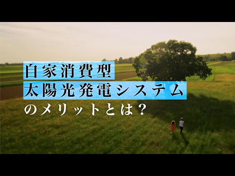 自家消費型太陽光発電システムのメリット【自家消費 太陽光発電】 - video from Next Energy & Resources