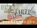 【VLOG】試験直前。色々と勉強中を振り返って思うこと