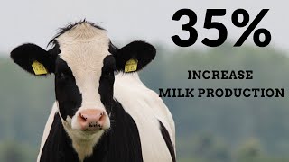 3 Hours Classical Music For Cows Milk Production • Work Music, Deep Sleep Music, Forest Surround screenshot 5