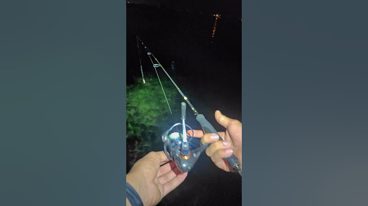 BUNU BİLMEDEN BALIGA GİTME.#shorts #shortvideo #lrf #fish #fishing #spin #keşfet #balık #reel