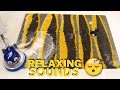 💧 Relax Your Mind with Deep Carpet Cleaning ASMR | Pure Cleaning Satisfaction