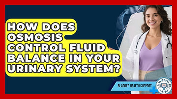 How Does Osmosis Control Fluid Balance In Your Urinary System? - Bladder Health Support