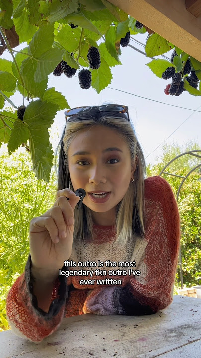 ⚡️Bitz of Buzz⚡️ ep. 11: track 12 - heirloom pain 🌱👩🏻‍🍼🌳❤️‍🩹