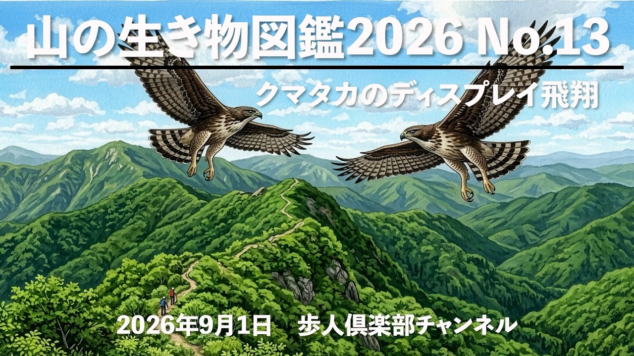 Mountain Wildlife Encyclopedia 2026 No. 13 - August 31, 2026