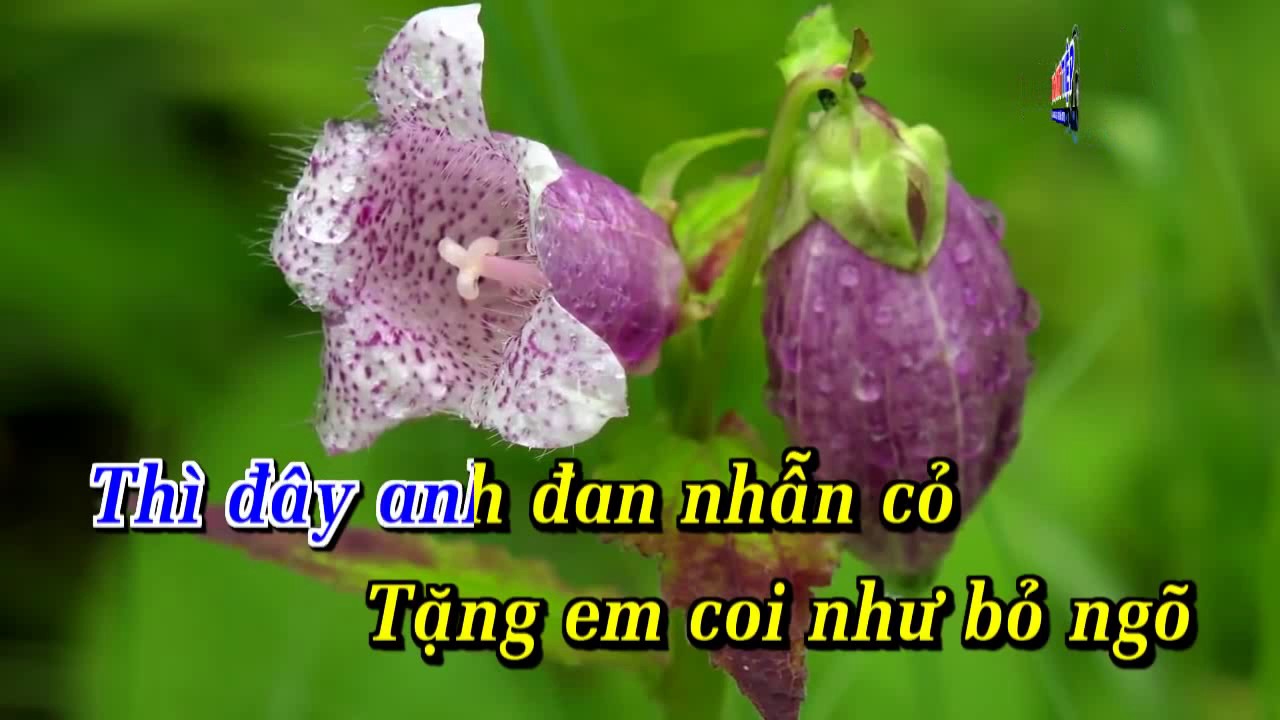 NHAN CO karaoke HD