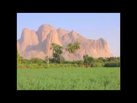 الشاعر البجاوي ادراي