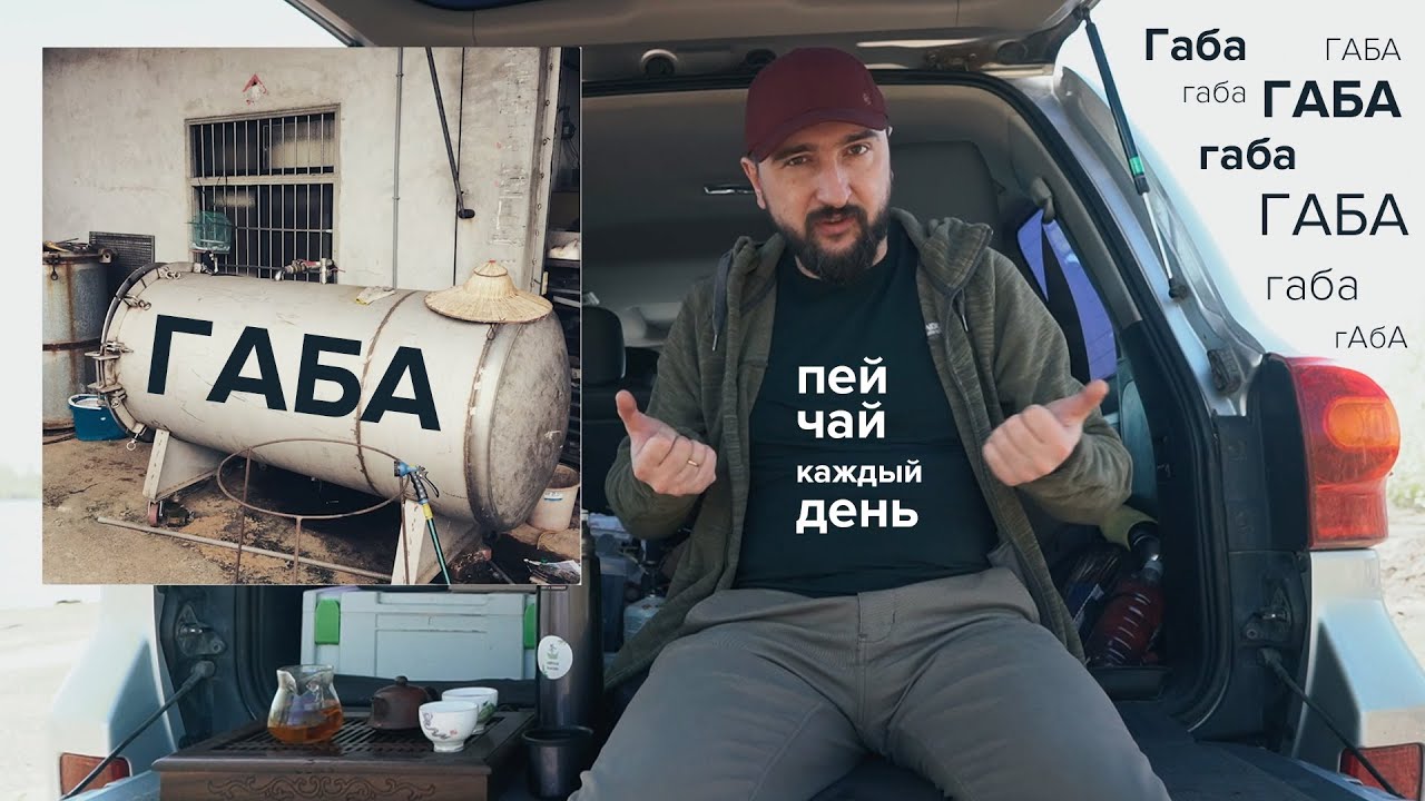 Габа Алишань. Тайваньский улун с ГАМК. Дегустация на капоте. - YouTube