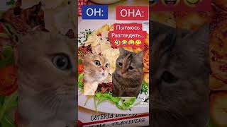 #котики#коты#прикол#смех#юмор #смешноевидео #мемы #fun #funnyshorts #funnycats #funnyvideos