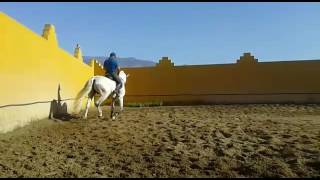VID 20160815 WA0001