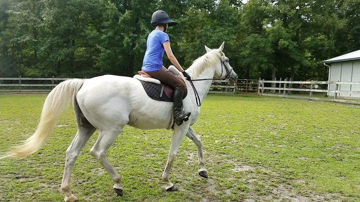Callie lesson 2  8/4/2018