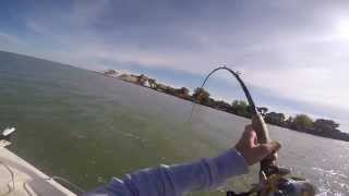Musky Fishing: Jigging the Bondy Bait