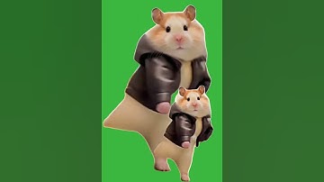 Cute Dancing Hamster Old School Animated | Green Screen #greenscreen #short #shorts #shortsvideo