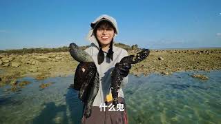 Oman catch fish with long spines, and made cuttlefish razor clams into a seafood masterpiece!