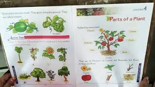 Class UKG / Science / Chapter 4