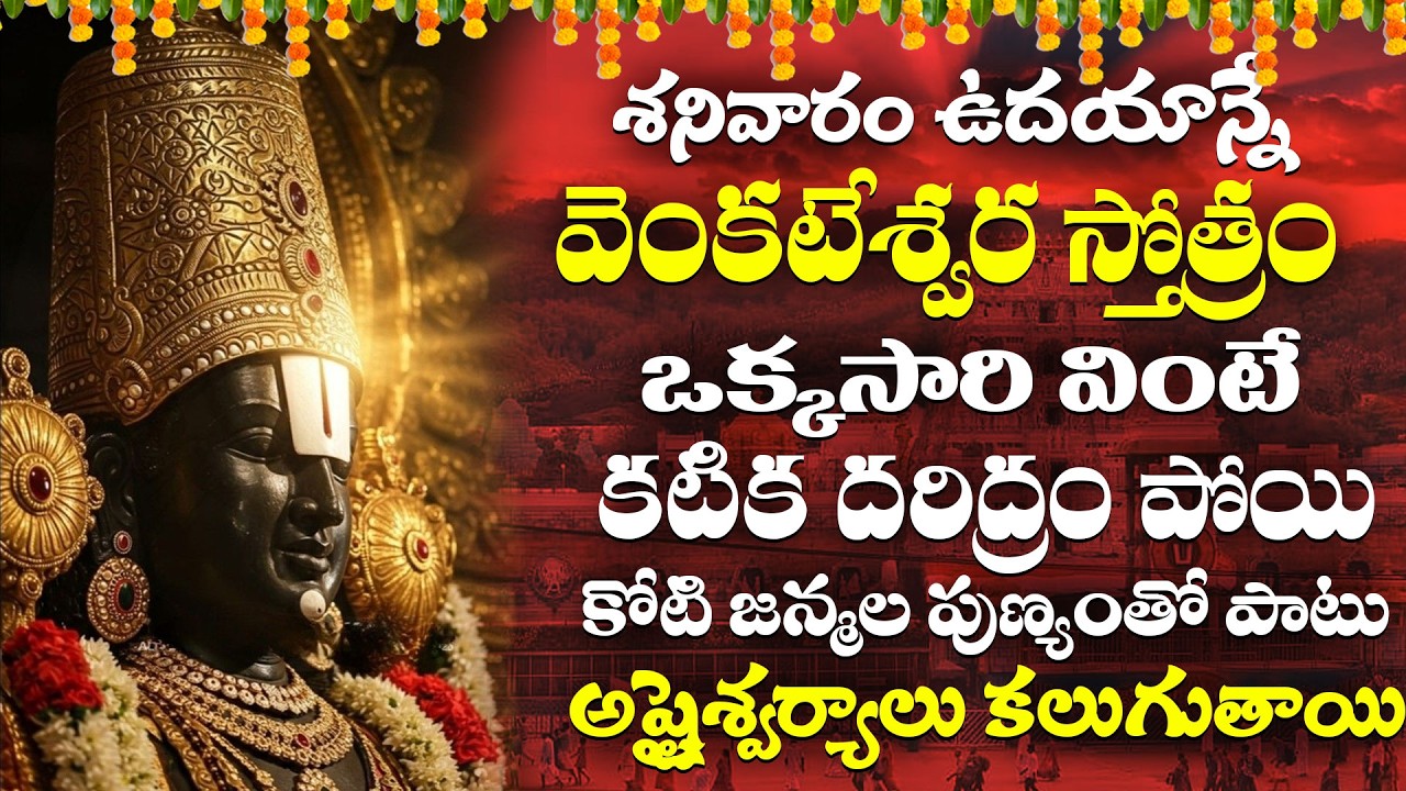 శనివారం నాడు ఉదయాన్నే శ్రీ వేంకటేశ్వర స్తోత్రం వింటే మీ కోరికలు నెరవేరుతాయి | Venkateswara Stotram