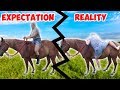 THE TRUTH ABOUT OWNING HORSES... | Expectations VS Reality