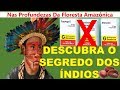 Pressão Alta - Descubra o Segredo dos Indígenas-Eles Nem Conhecem Pressão Alta 🥦 👉2019👈