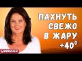 Парфюмерная капсула на жару🔥💥☀️ Топ 12 ☀️💥🔥Лучшая нишевая подборка