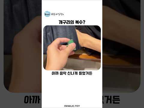 옆집의 수상한 울음소리 thumbnail