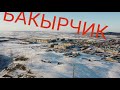 Золото Алтая под ногами-Бакырчик-Altai gold under feet Bakyrchik