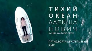 Алекша Нович - Пятидесятидвухгерцевый кит (лучшее качество звука)