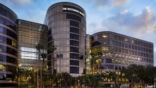 The Westshore Grand Luxury Marriott Hotel Tour Vlog | Tampa Florida | Business Trip