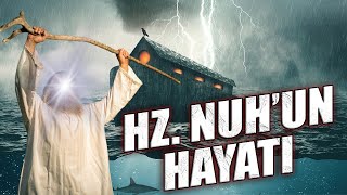 Hz Nuhun Hayati