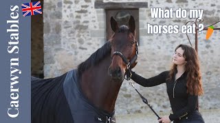 What my horses eat in a day ! l Caerwyn stables l English