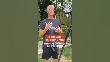 Your gut is your brain