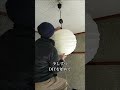 6kの家にかかった費用大発表 #diy #インテリア #一人暮らし #賃貸 #賃貸diy#shorts