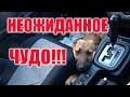 МЫ ТАКОГО НЕ ОЖИДАЛИ,САМЫЙ БЫСТРЫЙ ПРИСТРОЙ!!! ВСЕГДА БЫ ТАК)