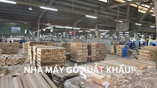 Có gì trong nhà máy gỗ xuất Mỹ?