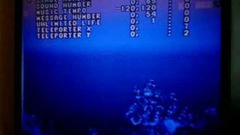 Ecco The Dolphin (Genesis) - Level Select Code