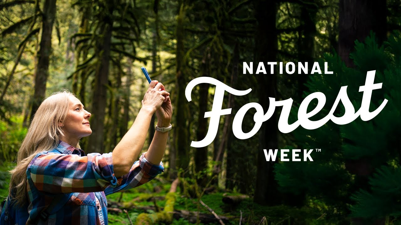 Where We Come Alive - National Forest Week