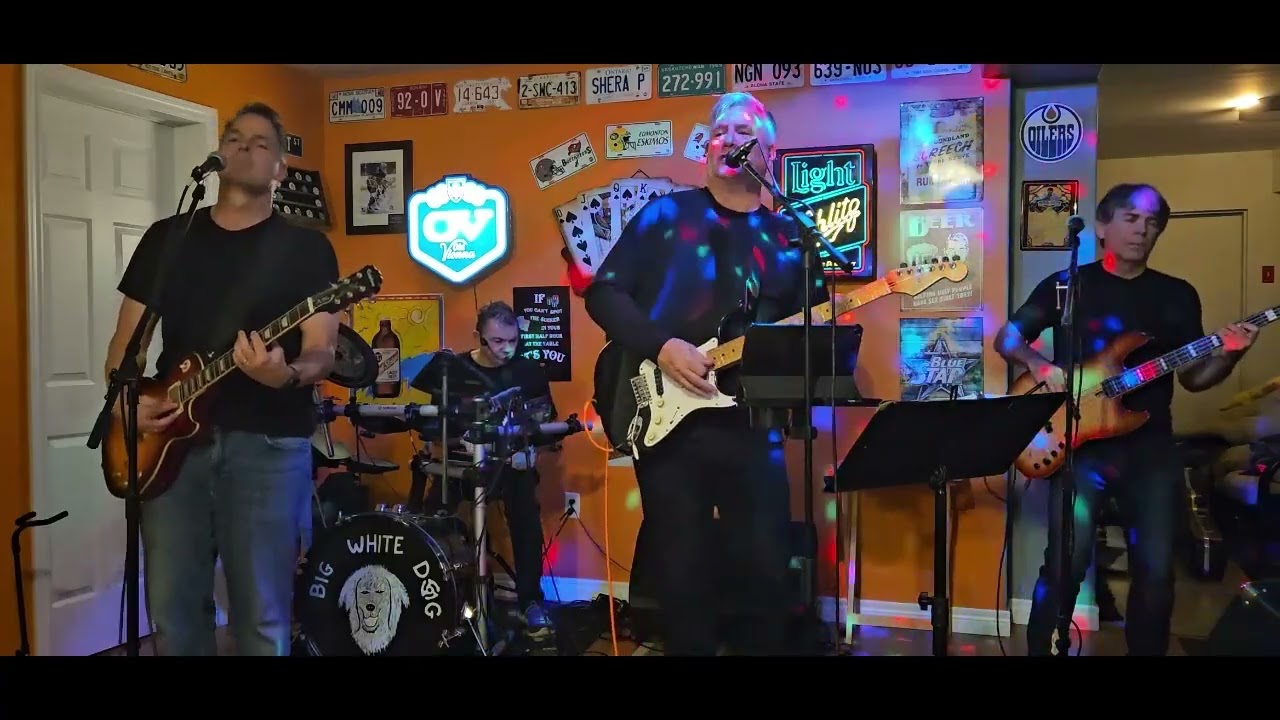 Big White Dog Compilation - 2024