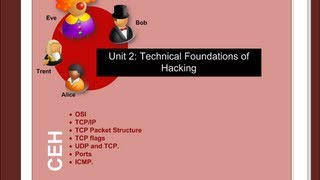 Celebrity CeH Unit 2: Technical Foundations of Hacking (HD) Wealth