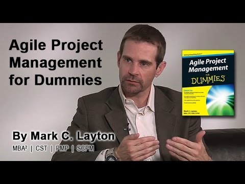 Agile Project Management for Dummies Book