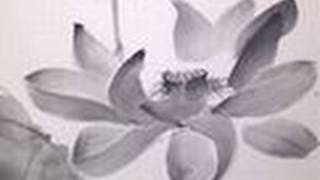 Lotus Sumi-e Drawing - 蓮 -